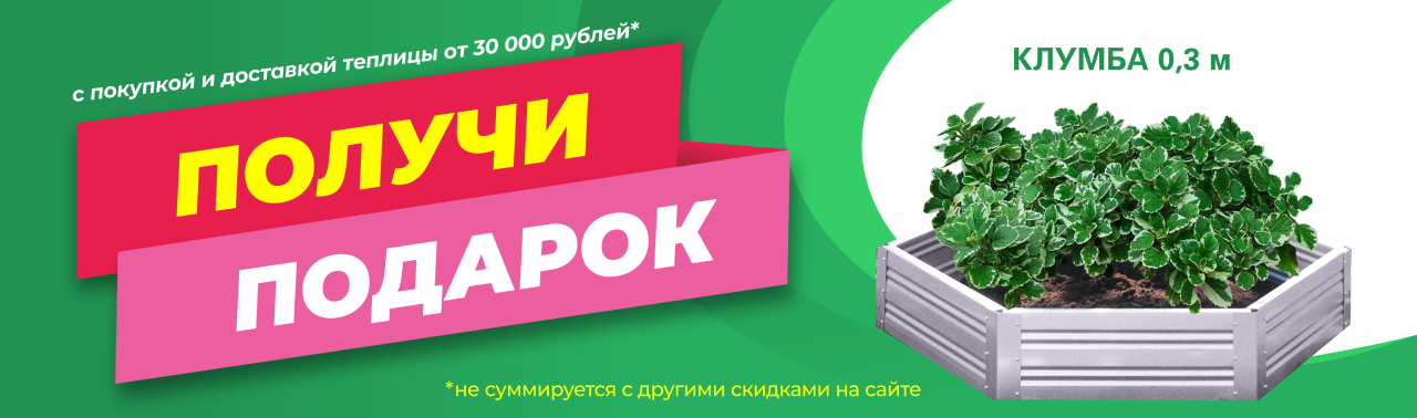 Клумба в подарок Клумба в подарок